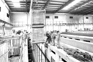 當(dāng)現(xiàn)代工程邂逅歷史回響 福建最大污水處理廠的膜處理提升與文物保護設(shè)計